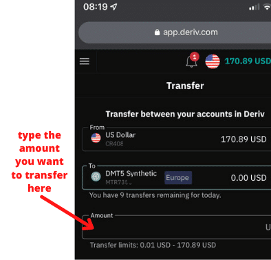 How To Transfer Funds From Main Deriv Account To Deriv Synthetic Indices Account